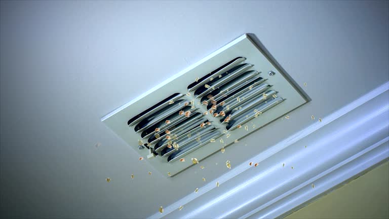 Best Commercial Air Duct Cleaning  in Brentwood, CA