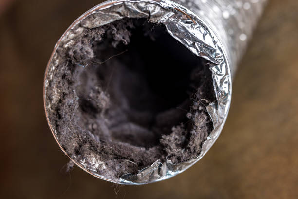 Best Air Duct Inspection  in Brentwood, CA